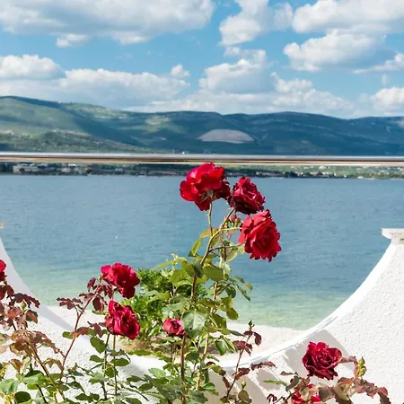 Marin,seaview,terrace Massage Hot Tube,grill Place,parking